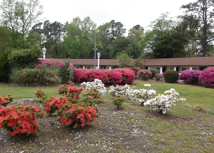Motel: Azalea Inn & Suites